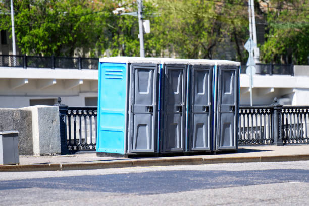 Best Luxury portable toilet rental  in Eagle Lake, WI